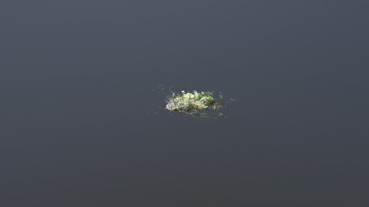 Hikiau Heiau 3D Model