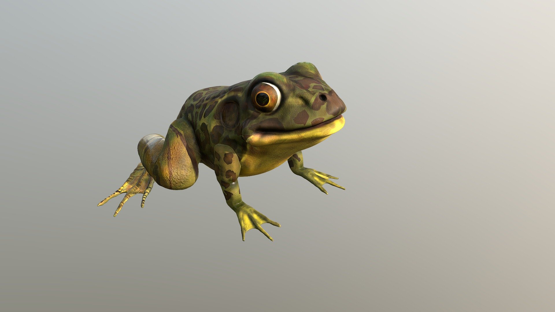 Frog - 3D model by Bohdan.Karasenko [07edb5a] - Sketchfab