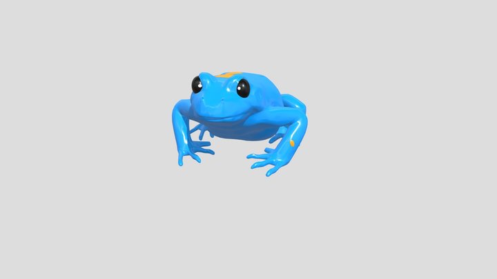 Dartfrog 3D models - Sketchfab