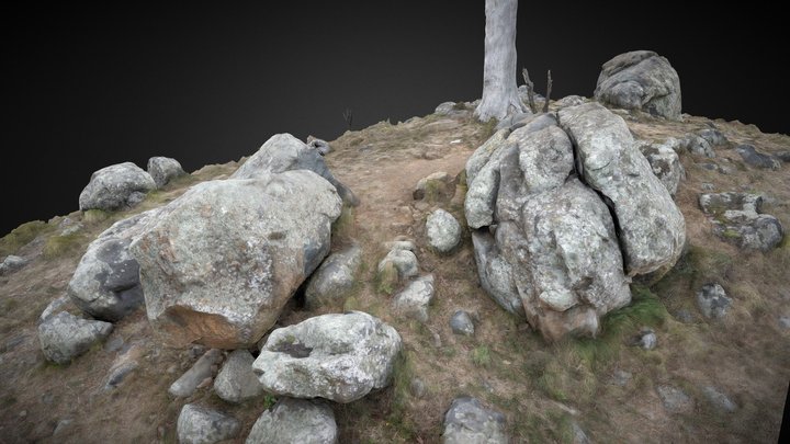 Mount Rogers Area 06 3D Model
