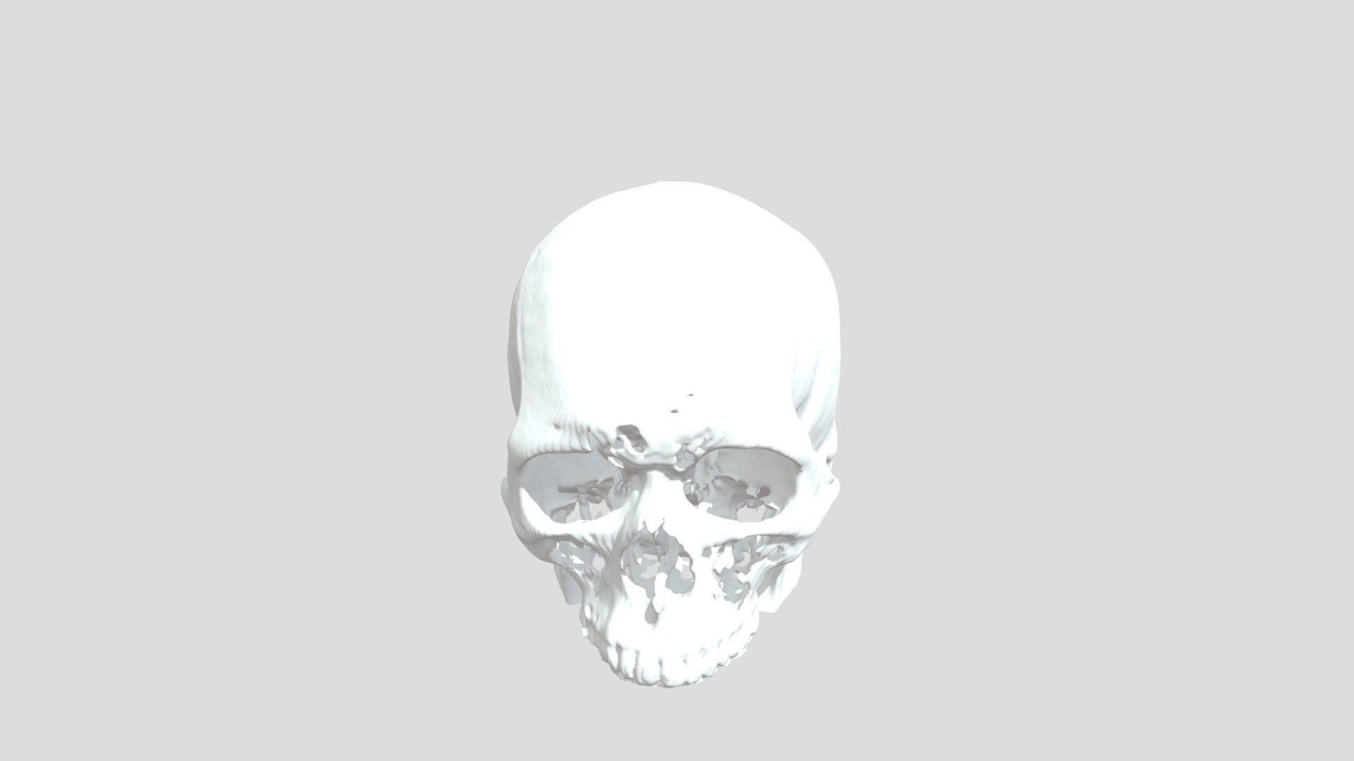 Skull (Medical) - 3D model by altugusun [07fd26f] - Sketchfab