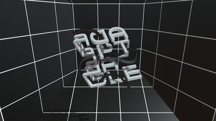 Adaptable 3D Model