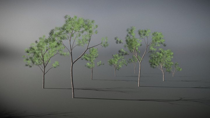 Poplar Tree Pack (9 variations) 3D Model
