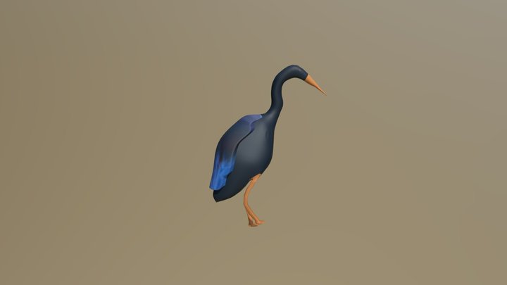 Blue Heron 3D Model