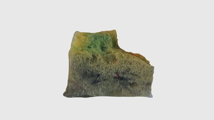 spongy! part 2 3D Model