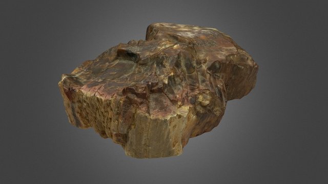 Tronco de árvore fossilizado 3D Model