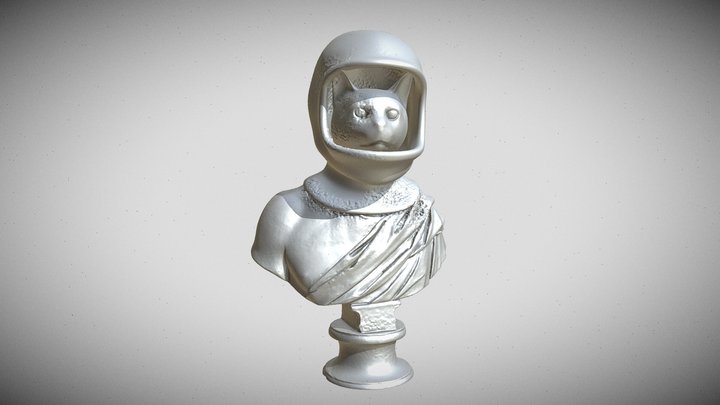 CATS IN THE SPACE 3D Model