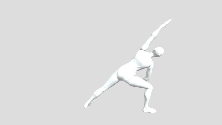 Pose 2 3D Model