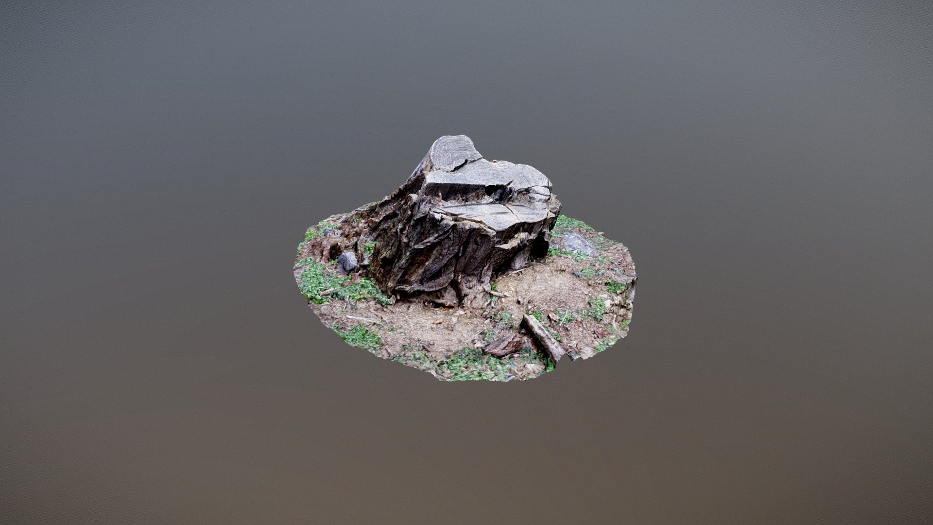 Stomp_001 Another Photogrammetry study