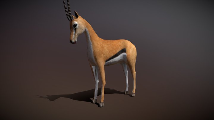 Safari animals - Gaselle 3D Model