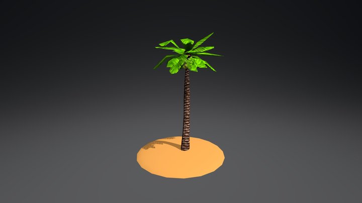 Coconut Tree Nature 3D Model
