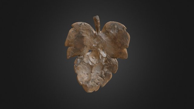 Fig Leaf 3D Model