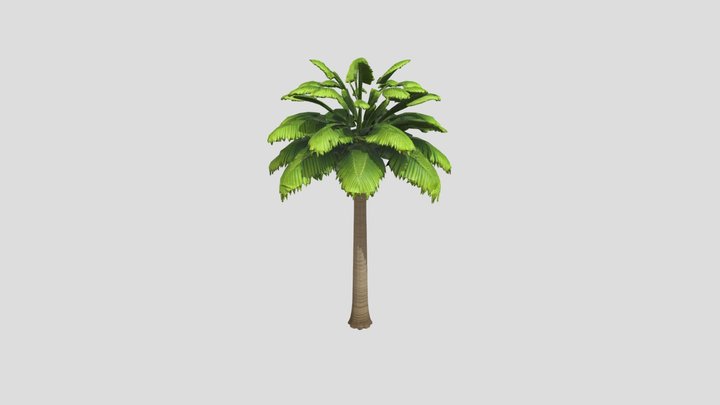 Palm Serenity 3D Model