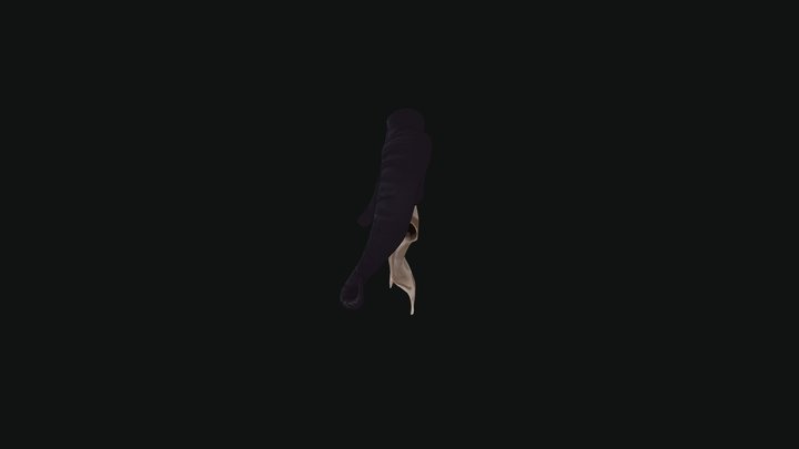 Crane 3D Model