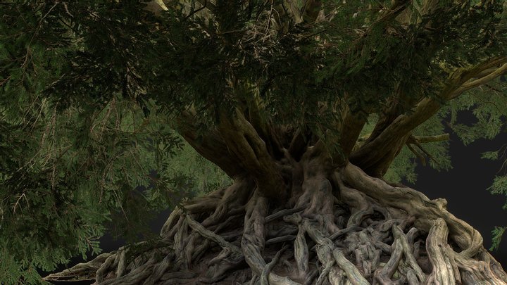 Ancient Yew at Waverley Abbey - 3D 3D Model