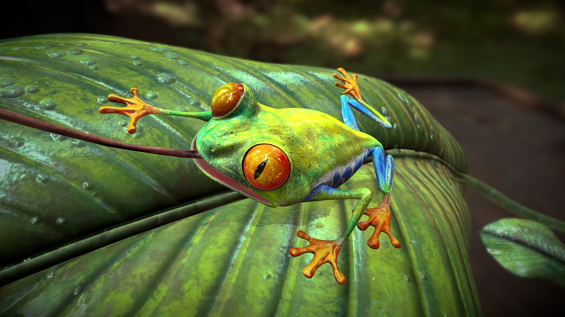 3D model Green Tree Frog - This is a 3D model of the Green Tree Frog. The 3D model is about a green and orange frog on a leaf.