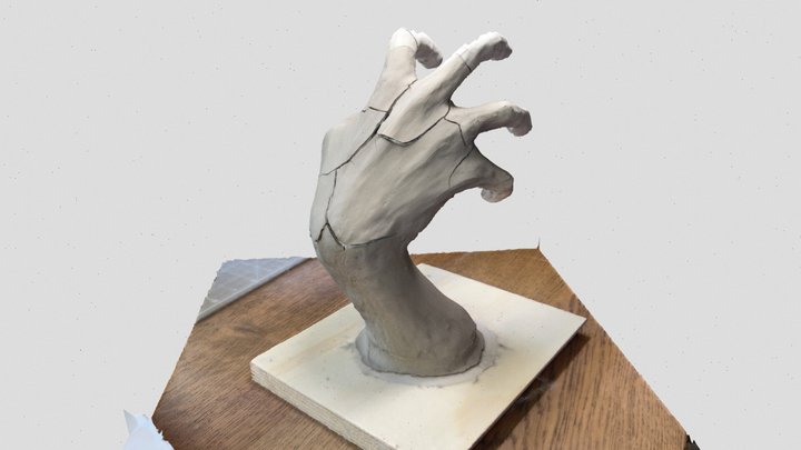 Albert-Hand_001 3D Model