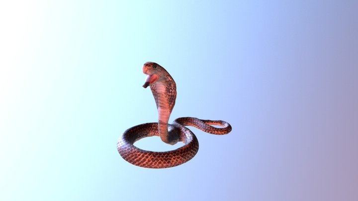 Model Snake 20171107 154750887 3D Model