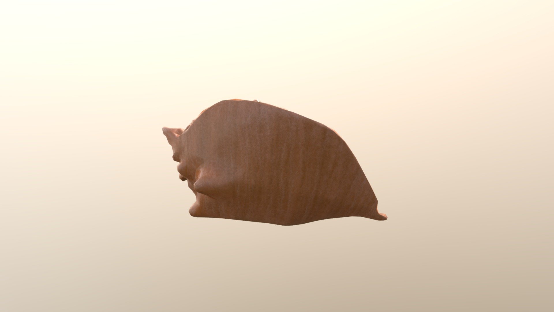 Conch Shell - 3D model by mwhelan [0815390] - Sketchfab