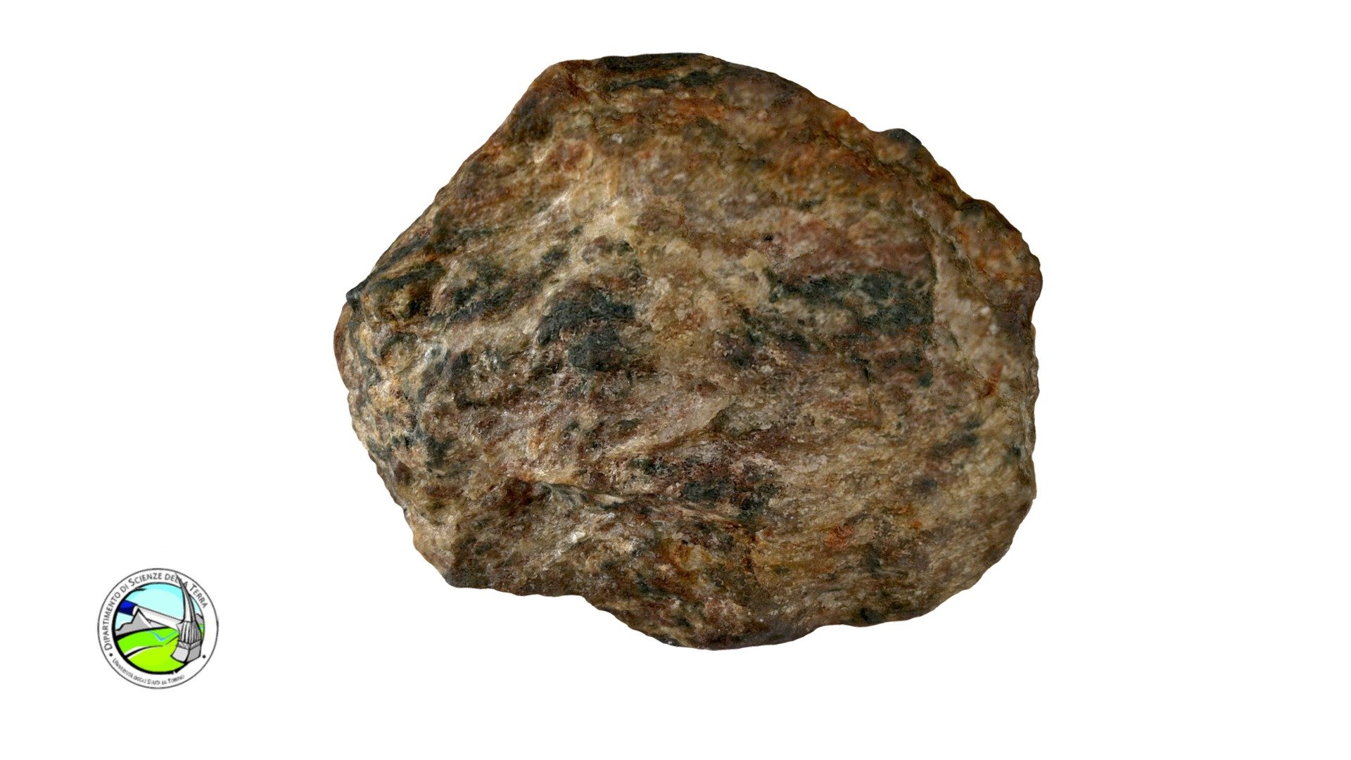 MAP2 - Micascisto fengitico a onfacite e granato - 3D model by ...