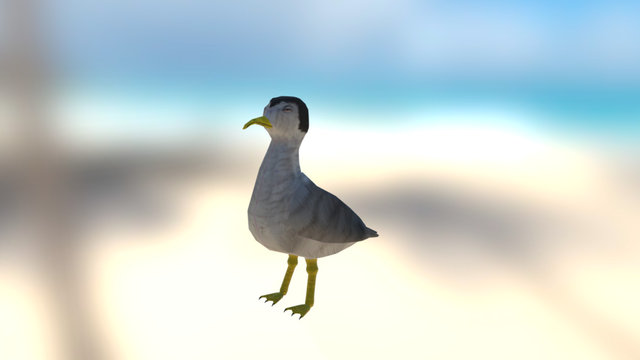Steven Seagull 3D Model
