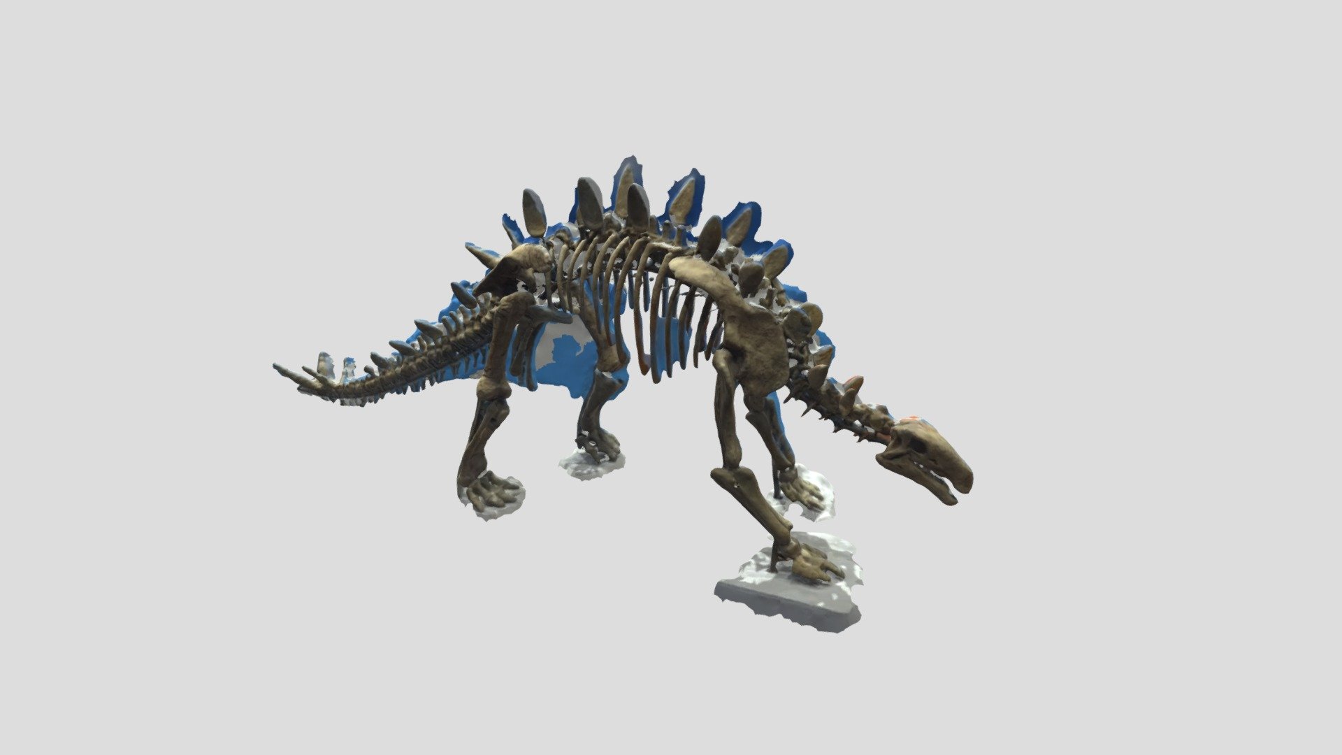 Huayangosaurus - 3D model by kistrike [081b719] - Sketchfab