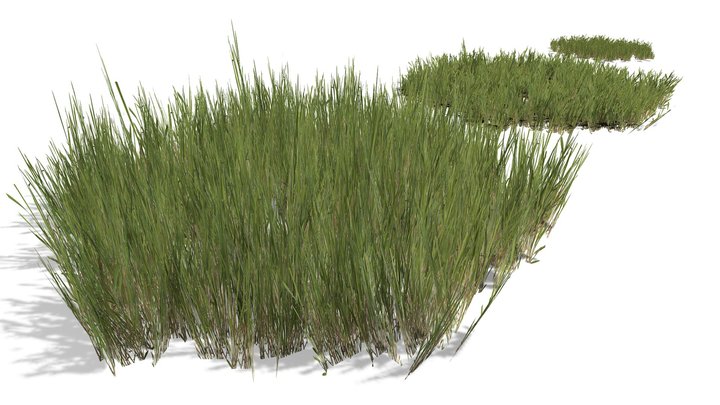 Grass Patches 3D Model