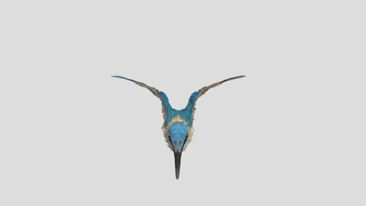 Bird Animations Alex 3D Model