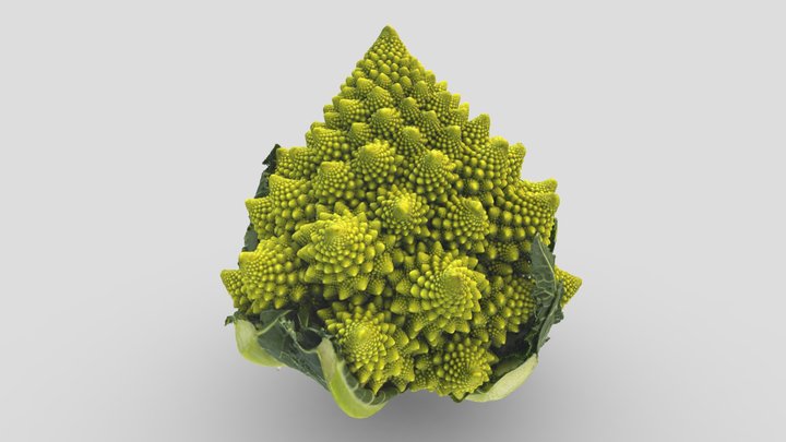 Romanesco 3D Model