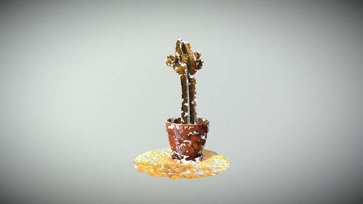 Kaktustest 3D Model