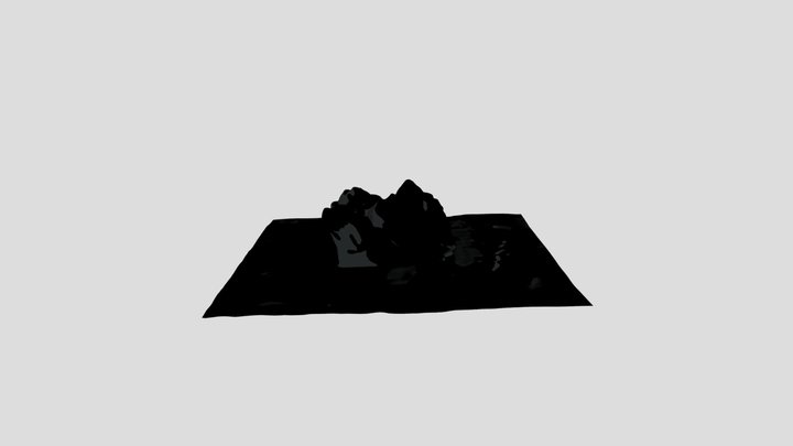 Photoscan Test - Rock 3D Model