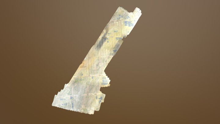 Project-2018-08-17 Simplified 3d Mesh_fly_14 3D Model