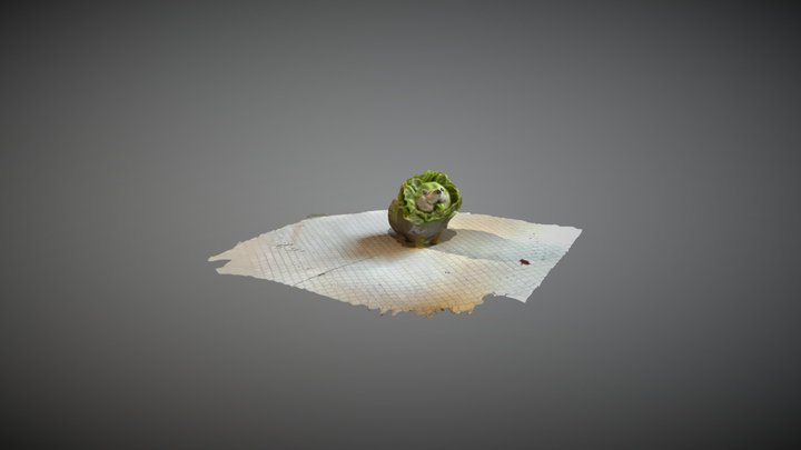 菜狗 cabbage dog 3D Model