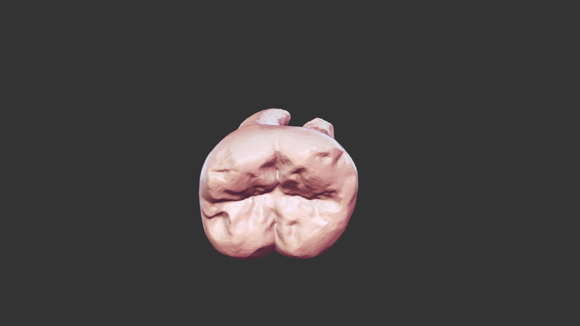 QTIE@21 - 3D model by ebs140598 [082649f] - Sketchfab
