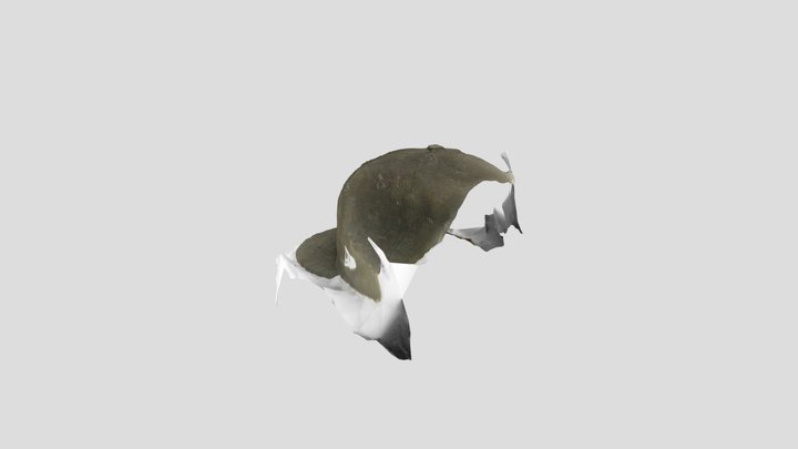 Jake G 3D Model