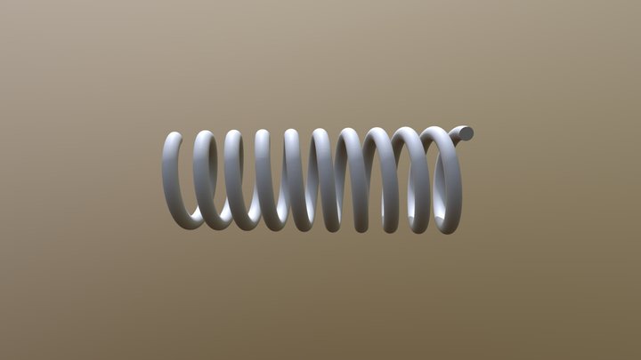 Coil 3D Model