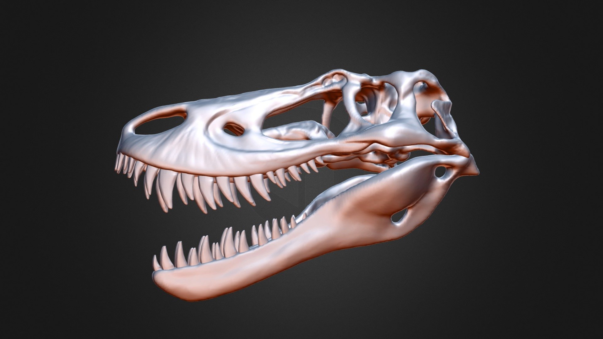 Juvenile Tyrannosaurus running 3D model 3D printable