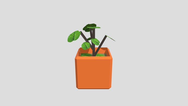 Plantsss 3D Model