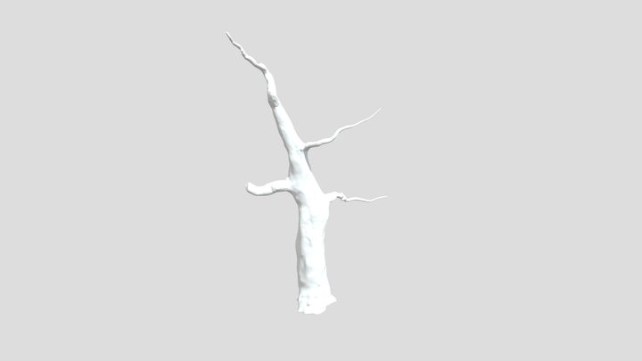 Tree trunk mid poly 3D Model
