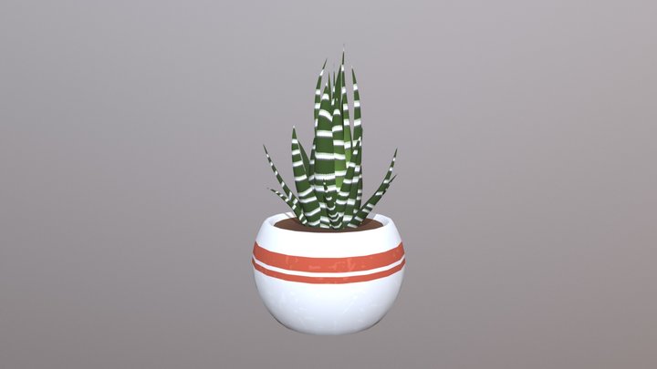 Zebra Plant 3D Model