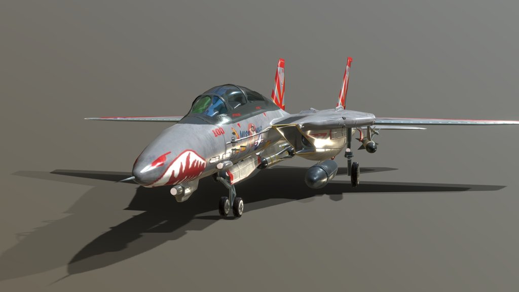 F-14 TOMCAT