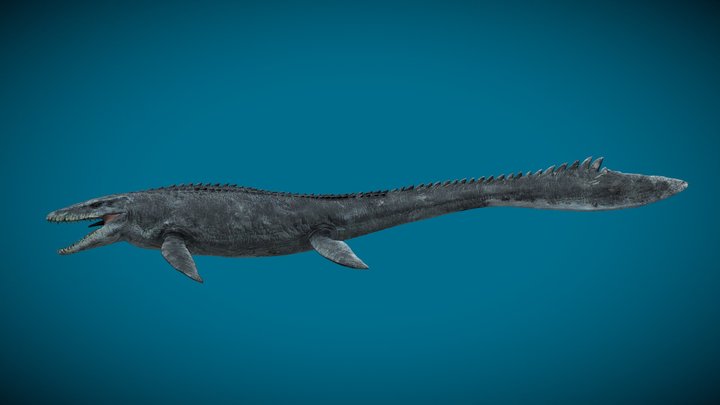 Jurassic World 2015 Mosasaurus 3D Model
