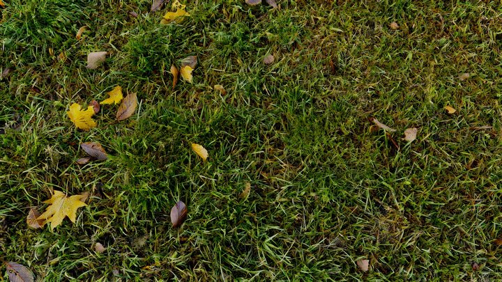 Grass scan