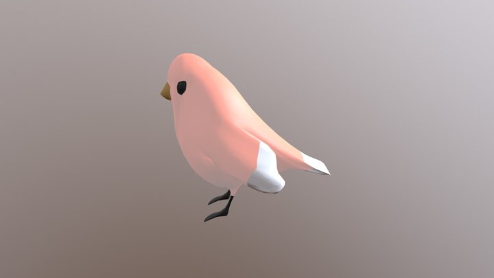Bird 3D Model