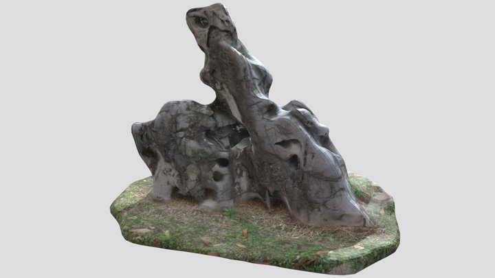Rock 3D Model
