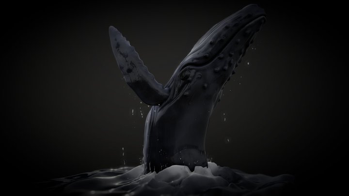 Humpback whale breaching 3D Model