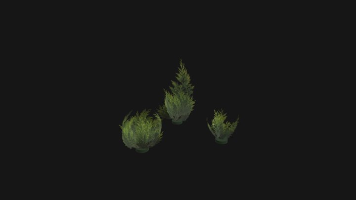 Pflanzenmodelle 3D Model