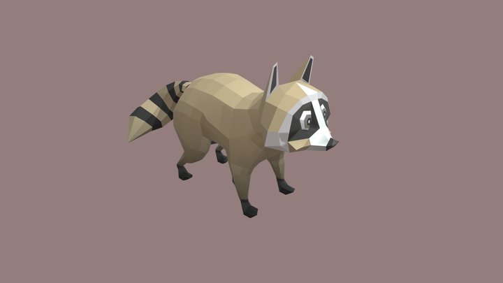 Racoon 3D Model