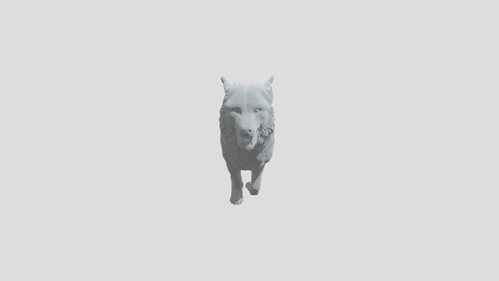 Running Male Wolfdog