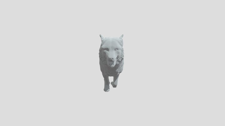 Running Male Wolfdog